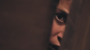 DISCULPE LAS MOLESTIAS